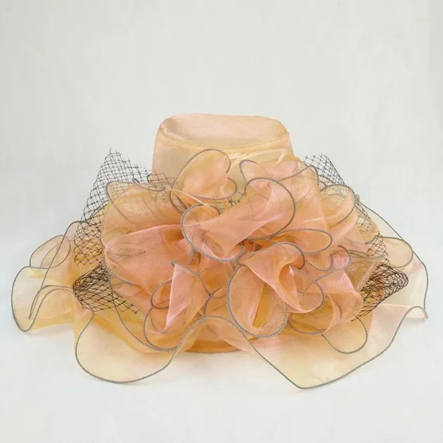 Organza Mode Mesh Hoed