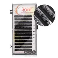 Grafting False Eyelashes